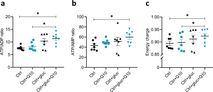 coenzyme q10 vs glutathione 4 reasons + 1 to use targeted supplementation against skin and systemic  aging main image 0