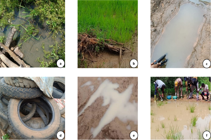 Fig. 5oxy_comment_end
