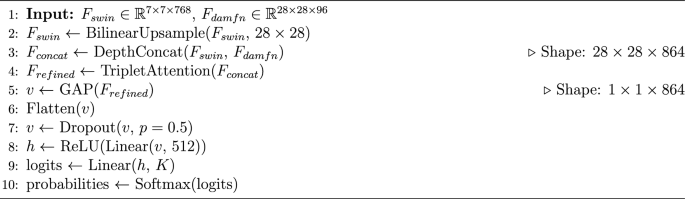 Algorithm 1