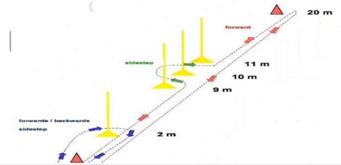 Fig. 2