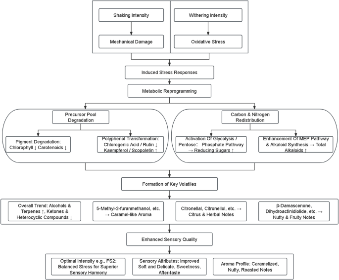 boiling tobacco leaf benefits Shaking and withering intensity from oolong tea processing alters the  chemical and sensory quality of tobacco