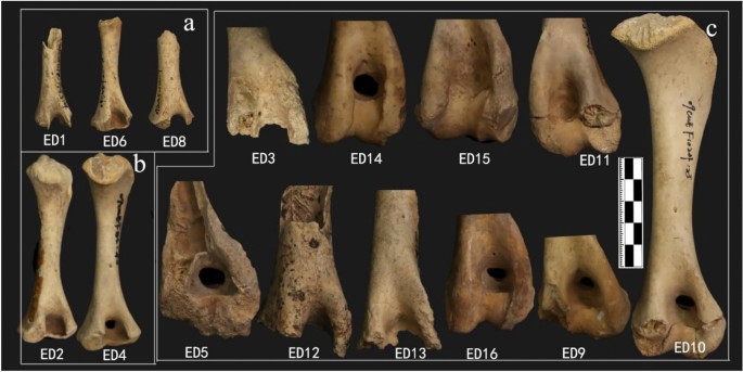 Fig. 10