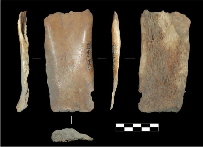 Fig. 4
