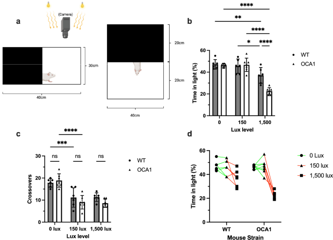 Light–dark box diagram and bar charts of time in the lit compartment and crossover counts at 0, 150 and 1,500 lux for wild-type and OCA1 mice.
