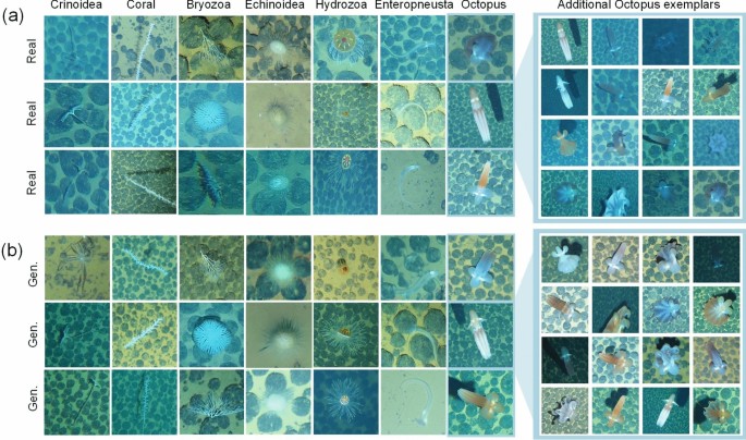 prospec bio bpc 157 price Improving rare-class detection in deep-sea imagery via generative augmentation with stable diffusion Pain in lower back Biotin Size:1000 mcg/ml - 10 ml x 4