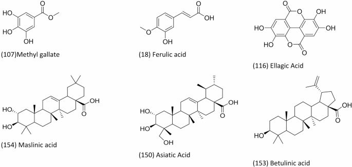 Profiling metabolites of Ficus natalensis hochst. fruit by UPLC-MS/MS and  evaluation of anti-inflammatory activity | Scientific Reports