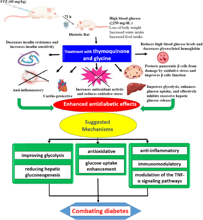 Combining glycine with thymoquinone offers a promising strategy for  diabetes treatment