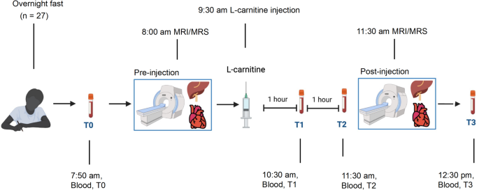 l-carnitine ejection fraction Changes in hepatic levels in people with metabolic dysfunction-associated steatotic liver disease (MASLD) assessed by magnetic resonance techniques Drug-Induced Subacute Cutaneous Lupus flavour D-Fine8 Flavor:Jolly Pop