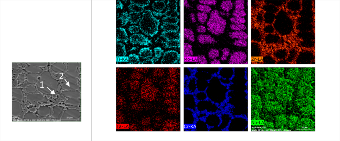 Fig. 10
