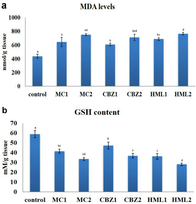 Comparative study on the pulmonary toxicity induced by some marketed pesticides after repeated oral administration in rats
