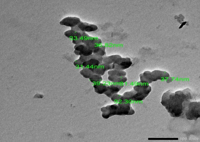 Fig. 9