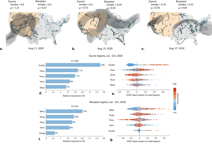 Fig. 4: Daily network dynamics and feature importance.