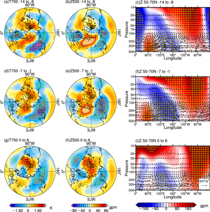 Distinct tropospheric anomalies during sudden stratospheric warming ...