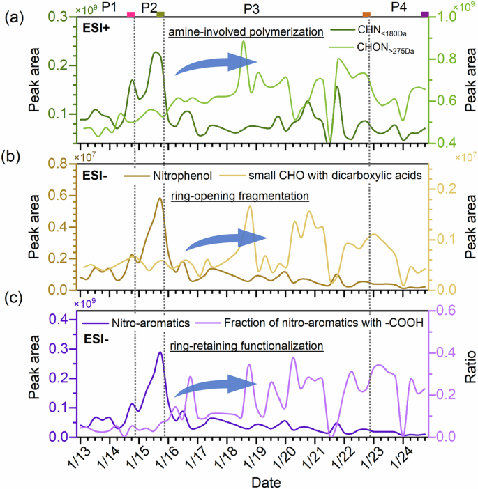 Fig. 5: Secondary evolution of ONs through heterogeneous/aqueous-phase reactions in the haze episode.