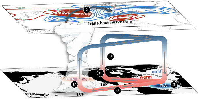 Fig. 4: Self-reinforcing feedback loop between Pacific and Atlantic driving GOA Marine Heatwaves.