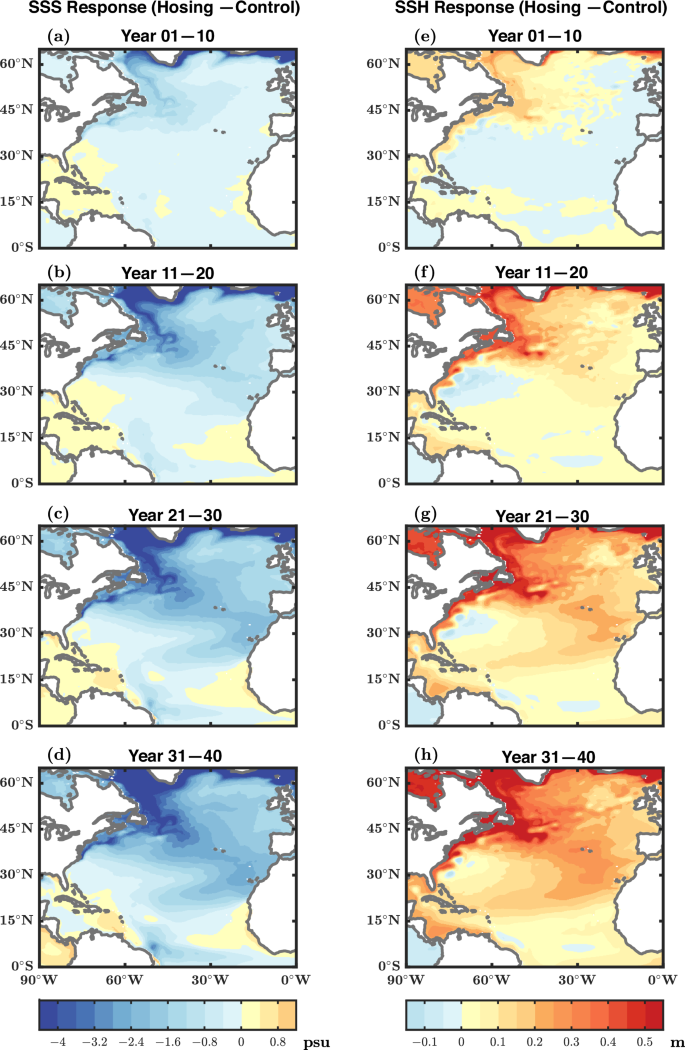 Fig. 5: Transient boreal summer response in SSS and SSH.