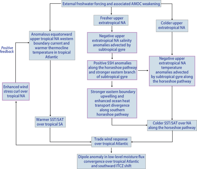 Fig. 8: Schematic of the Atlantic extratropical-tropical teleconnection during boreal summer in response to external freshwater forcing.