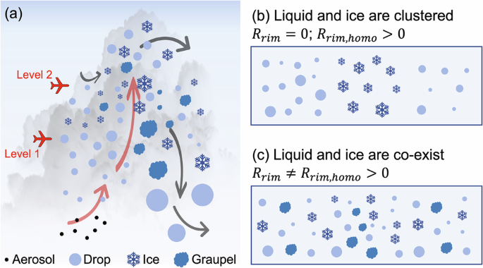 Fig. 1: Conceptual diagram of a mixed-phase cumulus cloud and the different liquid-ice distributions.