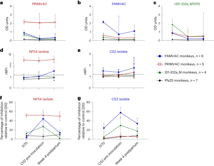 Fig. 4: Dynamics of VAR2CSA antibodies following a CS2 inoculation during pregnancy.