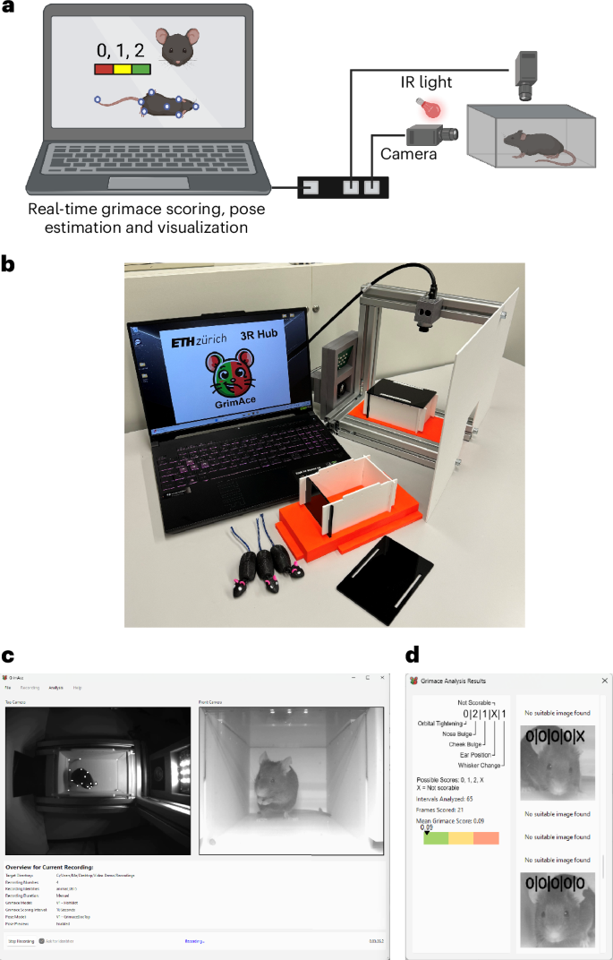 Fig. 1: The GrimACE, a complete hardware and software solution for standardized MGS scoring and key point-based pose estimation.