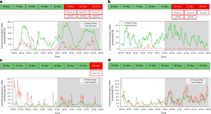 Fig. 3: Example of graphical output from the welfare-check task generated by the algorithm.