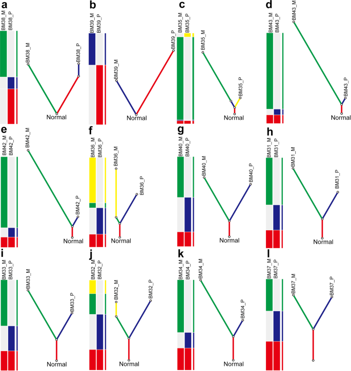 Fig. 3: Phylogenetic analysis of cases with brain metastases.