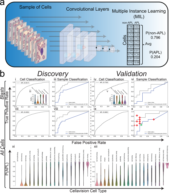 Fig. 2: Sample classification via multiple-instance learning approach.