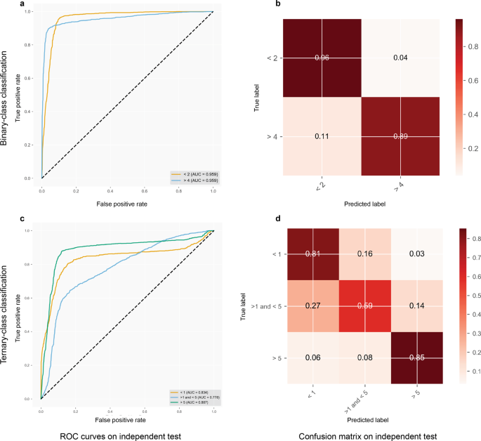 Fig. 3: Performance assessment of the GINTopK model in terms of ROC curves and confusion matrix on the independent test.