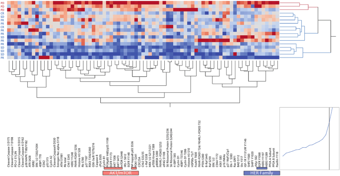 Fig. 5: Expression and activation levels of qualifying and exploratory biomarkers in the stroma of responders and non-responders.