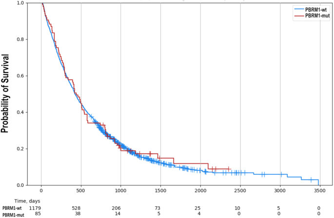 Fig. 2: No difference in exploratory real-world survival between PBRM1-mut and PBRM1-wt tumors.