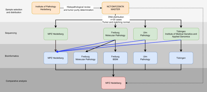 Fig. 1: Overview on the study design.