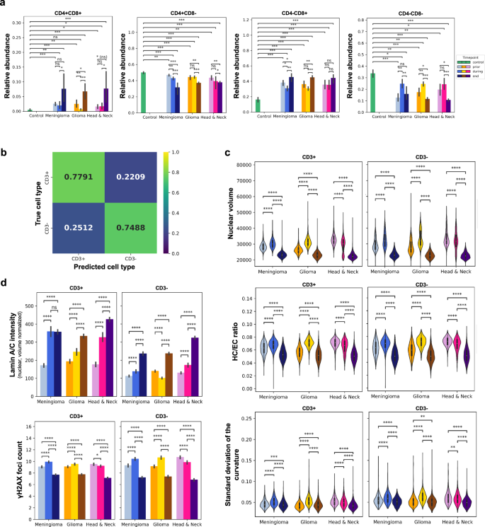 On Accuracy in Cells at Work!, and a review and reflection after three