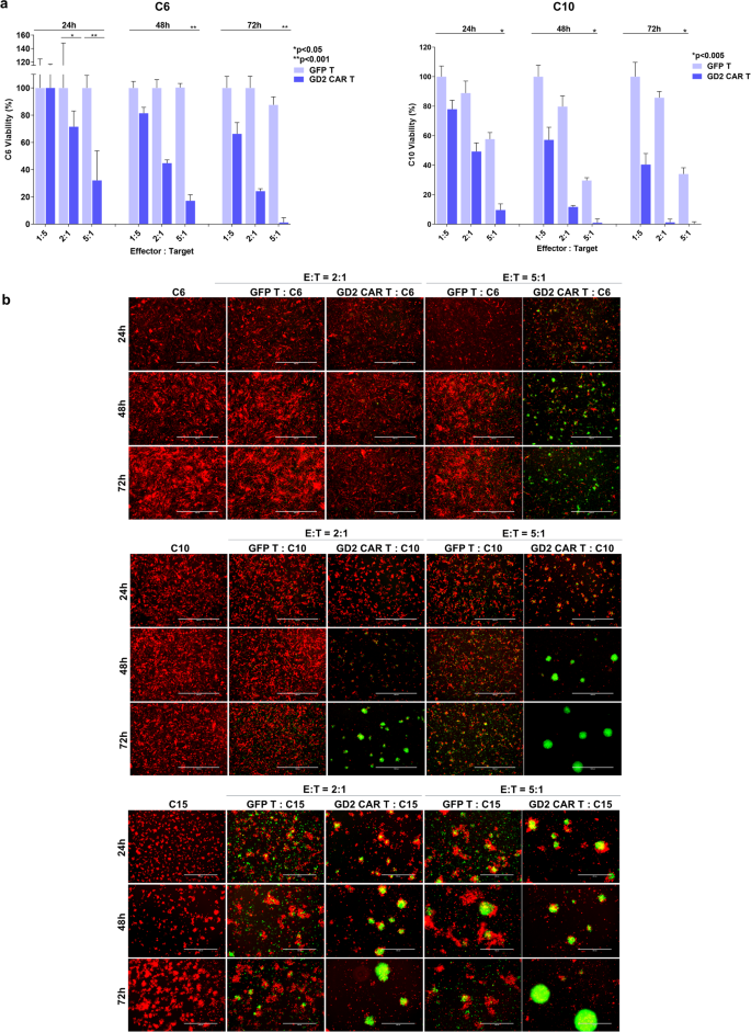 Fig. 1: Time- and dose-dependent antitumor activity of autologous anti-GD2 CAR T cells.