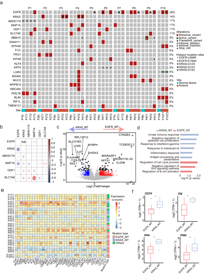 Fig. 2: Genomic and transcriptomic profiling of EGFR_MT and KRAS_MT tumors.