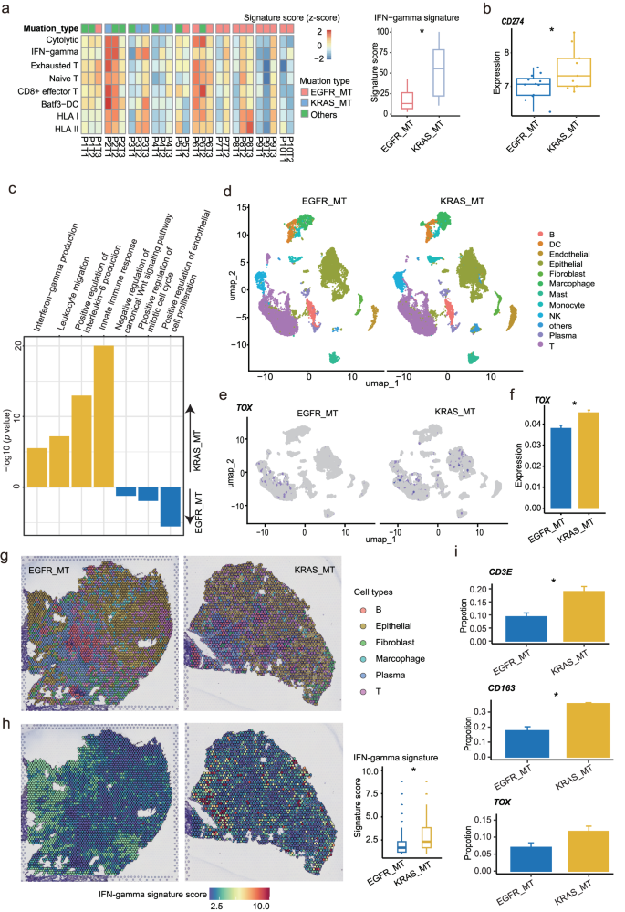 Fig. 3: Analysis of immune characteristics of KRAS_MT and EGFR_MT groups based on different data types.