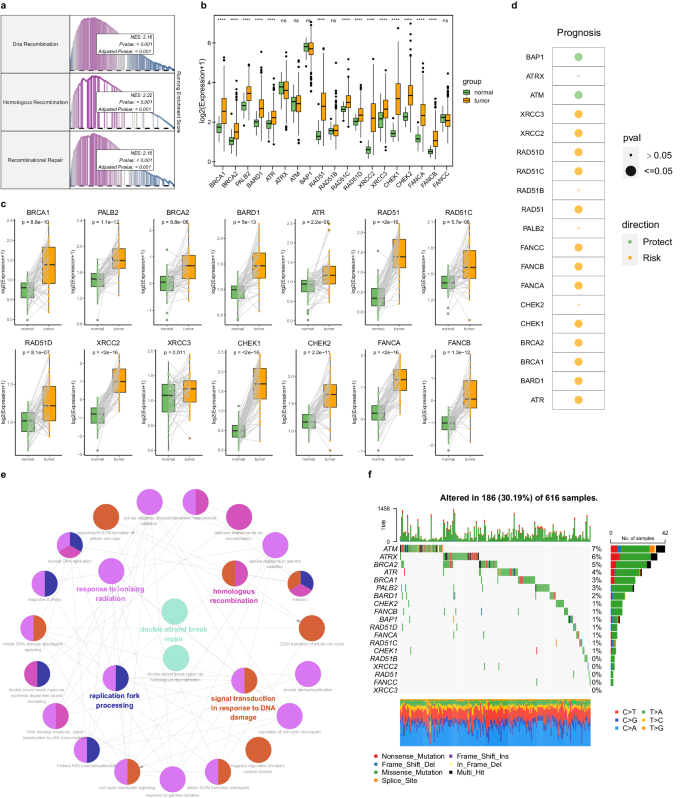 Fig. 1: Comprehensive analysis of 18 key HRGs in LUAD.