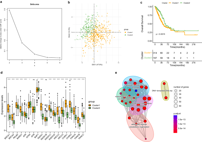 Fig. 2: Uncovering two prognostic HRG-defined subgroups in LUAD.