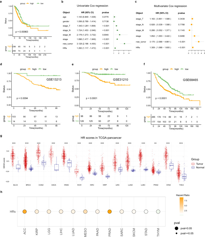 Fig. 3: Construction and pan-cancer application of the HR scoring system.