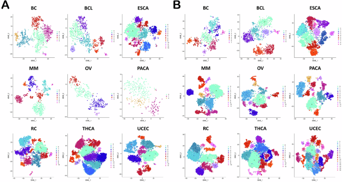 Fig. 1: Cell clustering analysis of CD8 + T cells in various cancer normal tissues and tumor tissues.