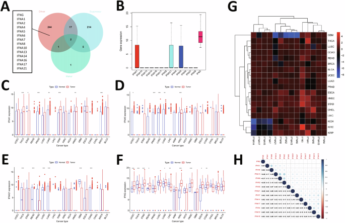 Fig. 7: Pan-cancer analysis of IRGs.