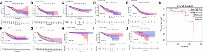 Fig. 8: Prognostic correlation analysis of IFNG in different cancer patients.