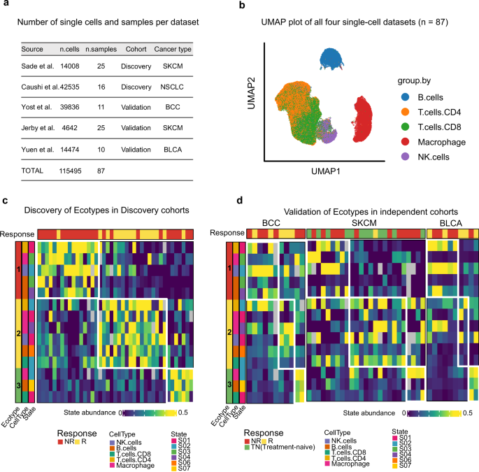 Fig. 1: Identifcation and validation of a ecotype associated with better immunotherapy response.