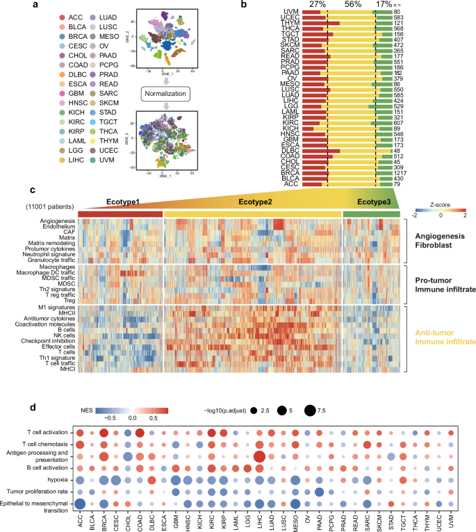 Fig. 2: Description of the immunotherapy response ecotype.