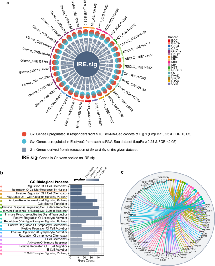 Fig. 3: Development and description of immunotherapy-responsive ecotype signature (IRE.Sig).