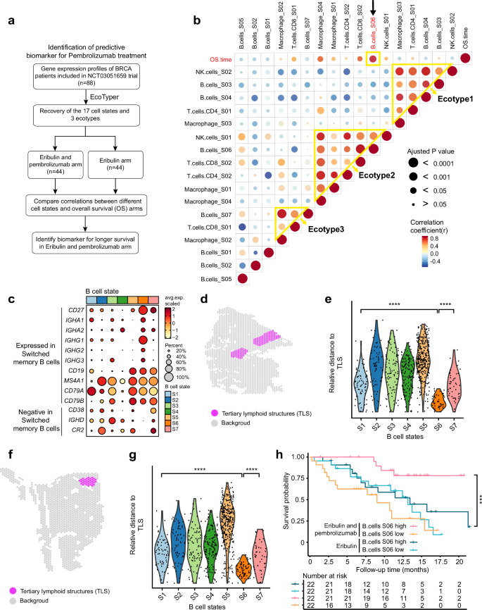 Fig. 6: Prediction of response to pembrolizumab in breast carcinoma.