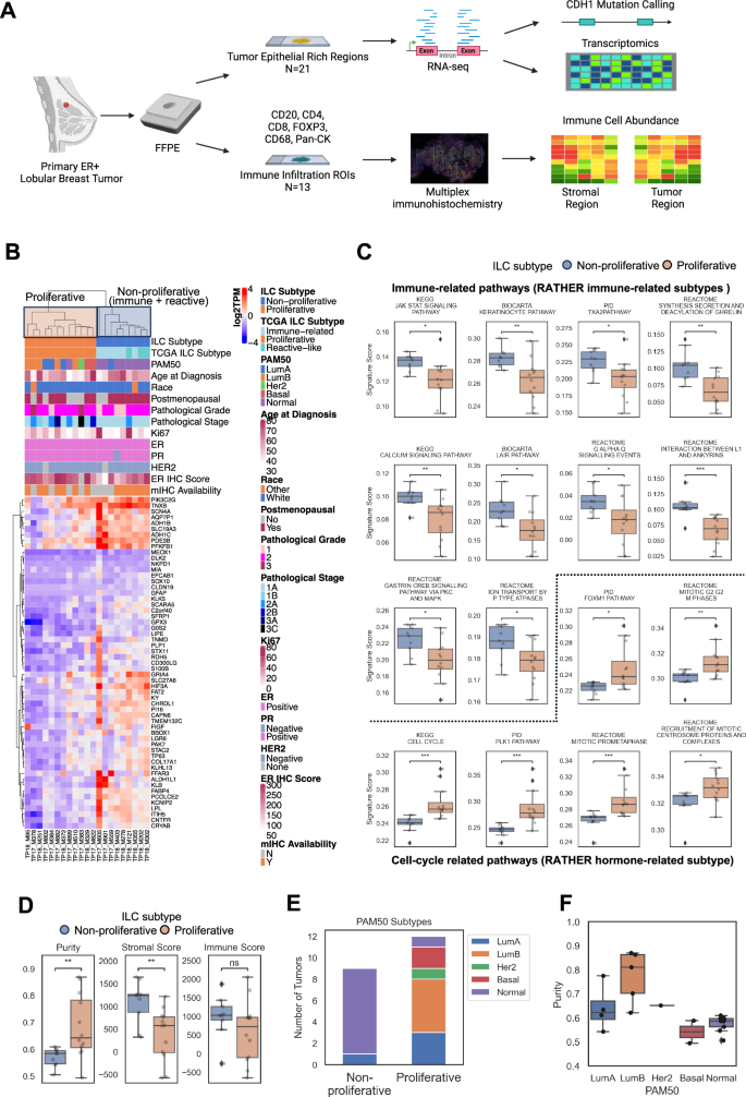 Fig. 1: Study design and ILC subtype identification from RNA-seq.