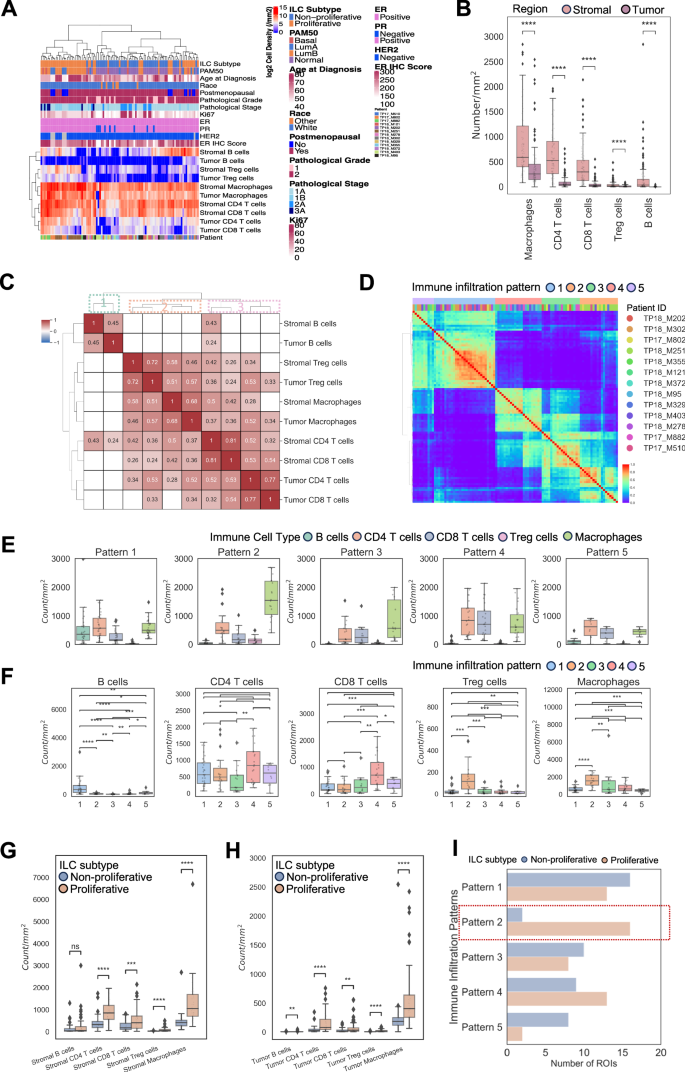 Fig. 2: Immune cell infiltration landscape from mIHC.