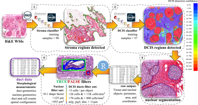 Fig. 1: AIDmap workflow.