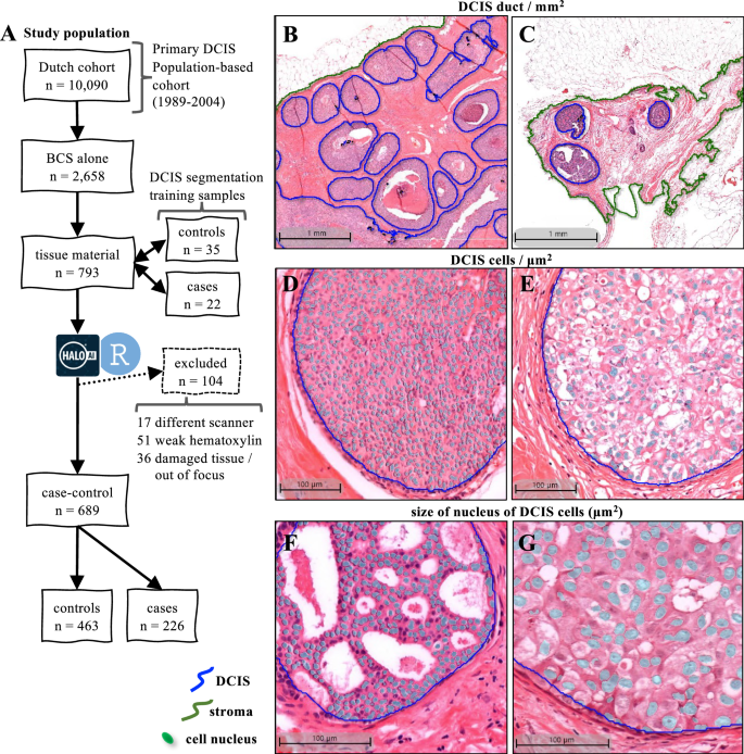 Fig. 2: Sample and classification details.
