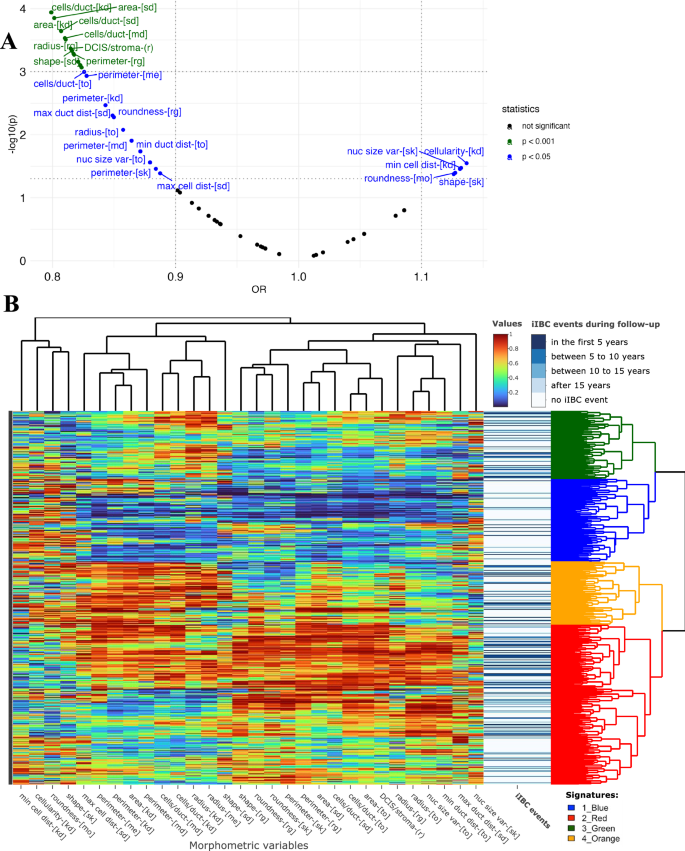 Fig. 4: Morphometric signature of DCIS.
